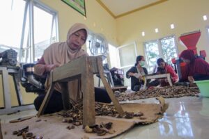 Gurih Kacang Mete Songgajah Sampai ke Eropa