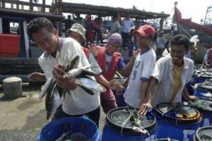 Ternyata lahan pabrik pengalengan ikan di Kilo bermasalah